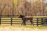 5620 Big East Fork Rd - Photo 63