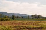 4340 Holland Chattoogaville Road - Photo 11