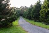4340 Holland Chattoogaville Road - Photo 14