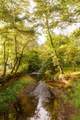 4340 Holland Chattoogaville Road - Photo 45