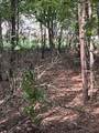 667 Maple Bend Rd - Photo 25