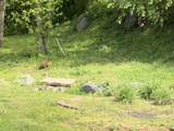 1233 Timber Valley Dr - Photo 34