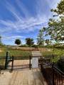 1514 Bledsoe Knl - Photo 47