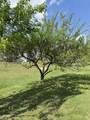 119 Fred Rd - Photo 47