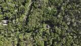 1650 Cash Canyon Road - Photo 41