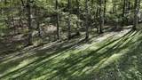1650 Cash Canyon Road - Photo 47