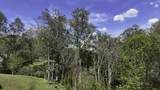 1650 Cash Canyon Road - Photo 51