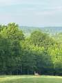 1140 Bear Hollow Dr - Photo 57