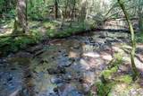 75A Deer Lick Trail - Photo 23