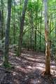 75A Deer Lick Trail - Photo 24