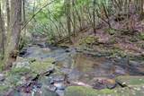 75A Deer Lick Trail - Photo 25