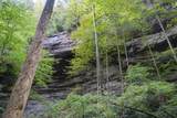 75A Deer Lick Trail - Photo 27
