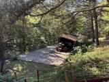 480 Hickman Shores Rd - Photo 33