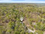 1134 Barrel Springs Hollow Rd - Photo 54