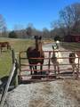 1486 Cedar Grove Rd - Photo 2