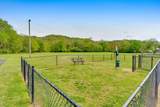 900 Mountain Creek Road - Photo 22