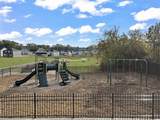 3146 Rolling Brook Drive - Photo 8
