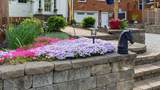 293 E Piney Rd - Photo 12