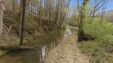 293 E Piney Rd - Photo 9