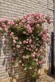 339 Rosebud Cir - Photo 89