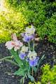9224 Sydney Ln - Photo 49