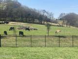 2013 Farm Blvd - Photo 2