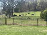 2013 Farm Blvd - Photo 60