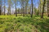 0 Anchor Bend Dr - Photo 24