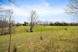 262 Burristown Paradise Ln - Photo 47