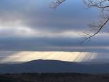 12855 Hwy 157 - Photo 9
