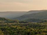 979 Clift Cave Road - Photo 51