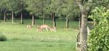 3455 Philadelphia Rd - Photo 53