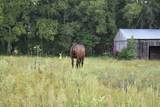 3455 Philadelphia Rd - Photo 56