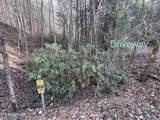 2500 Joe Brown Hwy - Photo 58