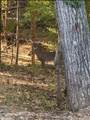 589 Briarwood Dr - Photo 38