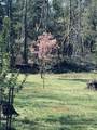 733 Gizzard Creek Road - Photo 66