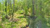 733 Gizzard Creek Road - Photo 74