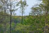 421 Alpine Dr - Photo 44