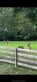 7270 Old Franklin Rd - Photo 66