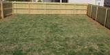 2813 Winterberry Dr - Photo 25