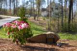 1375 Wintergreen Lane - Photo 6