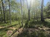 0 Dunbar Cave Rd - Photo 11
