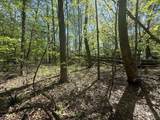 0 Dunbar Cave Rd - Photo 3