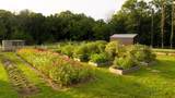 1489 Old Tva Rd - Photo 3