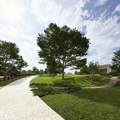 5512 Old Hwy 96 - Photo 30