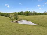 1159 Stella Rd - Photo 27
