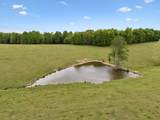 1159 Stella Rd - Photo 31