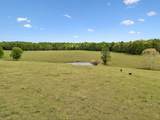 1159 Stella Rd - Photo 10
