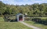3107 Patcham Dr #103 - Photo 31