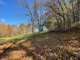 954 Molino Rd - Photo 61
